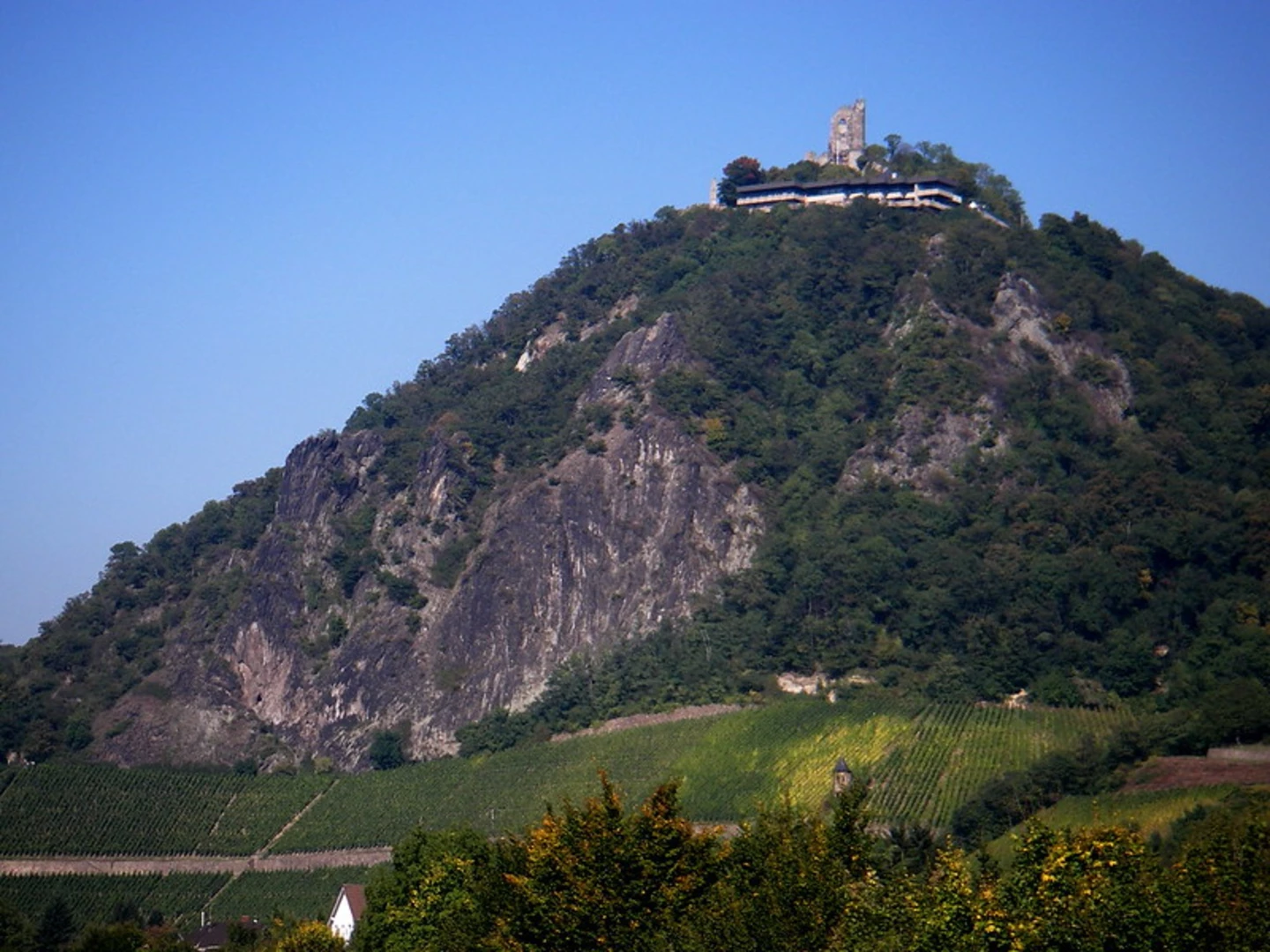 An image depicting the trail Königswinter Drachenfelsbahn to Rhöndorf via Burgruine Drachenfels and Bergischer Weg and its surrounding area.