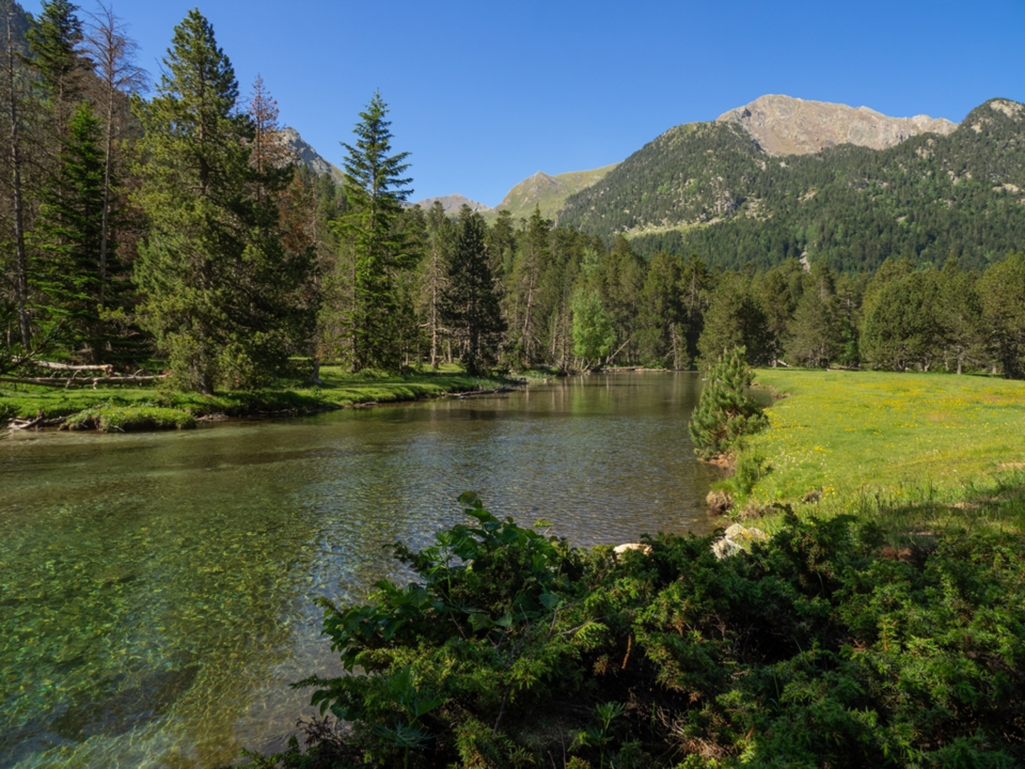 An image depicting the trail Refugio del Estany Llong – Estany Redó loop from Arties and its surrounding area.