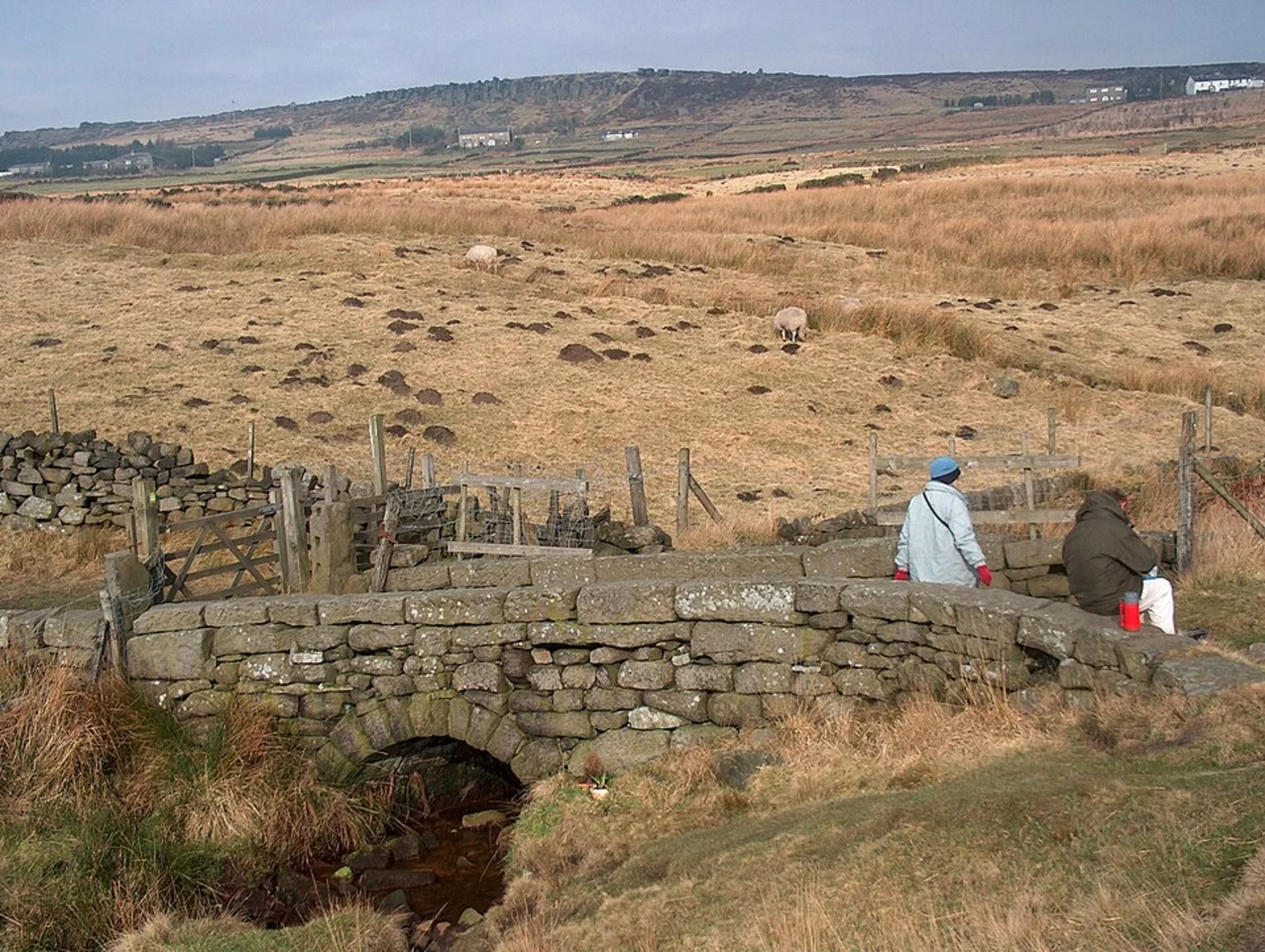 An image depicting the trail Kitson Wood and Bride Stones Moor Loop and its surrounding area.