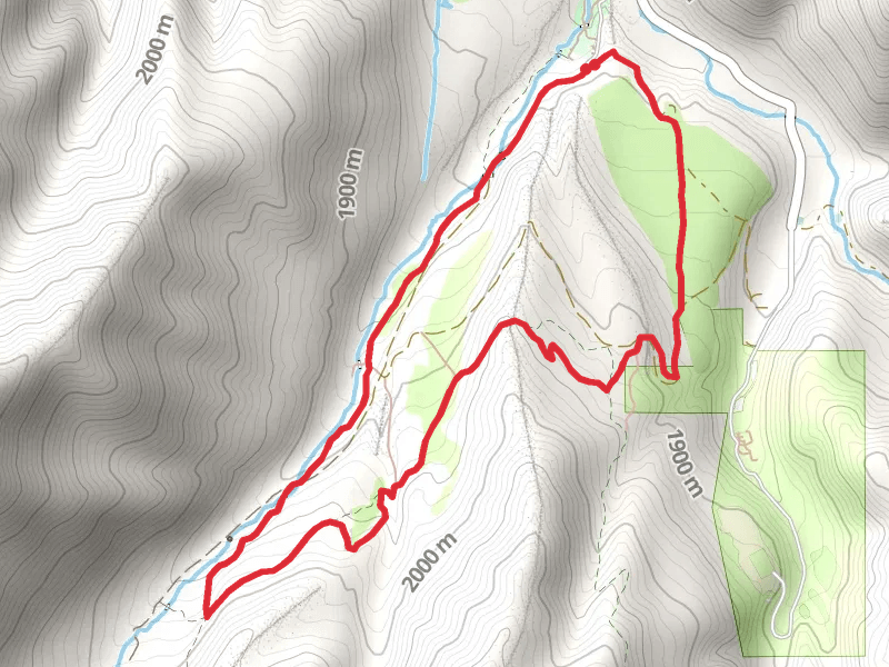 Big Springs Hollow Trail and Big Springs-Shingle Mill Link Trail