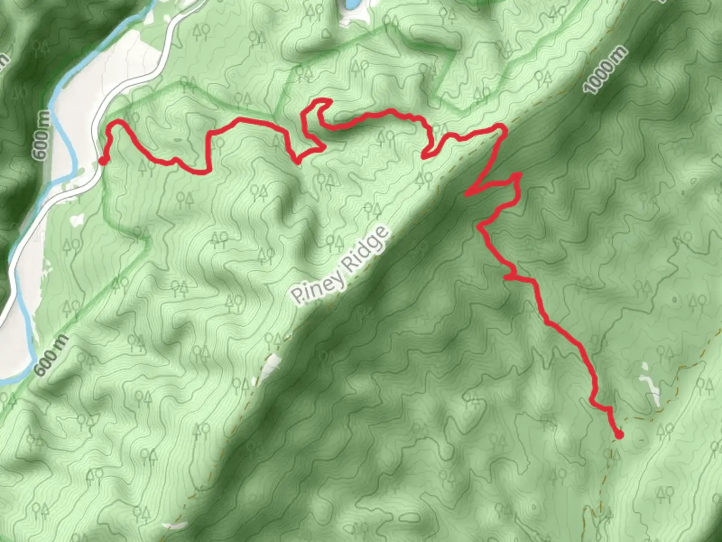 An image depicting the trail Bogan Trail and its surrounding area.