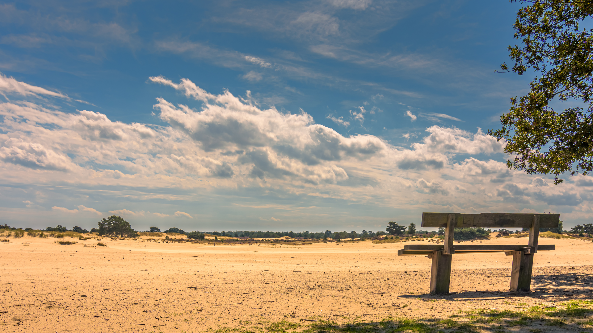 An image depicting the trail Zuivelfabriek to Damsluis via Aekingerzand of Kale Duinen and Veldhuizen and its surrounding area.