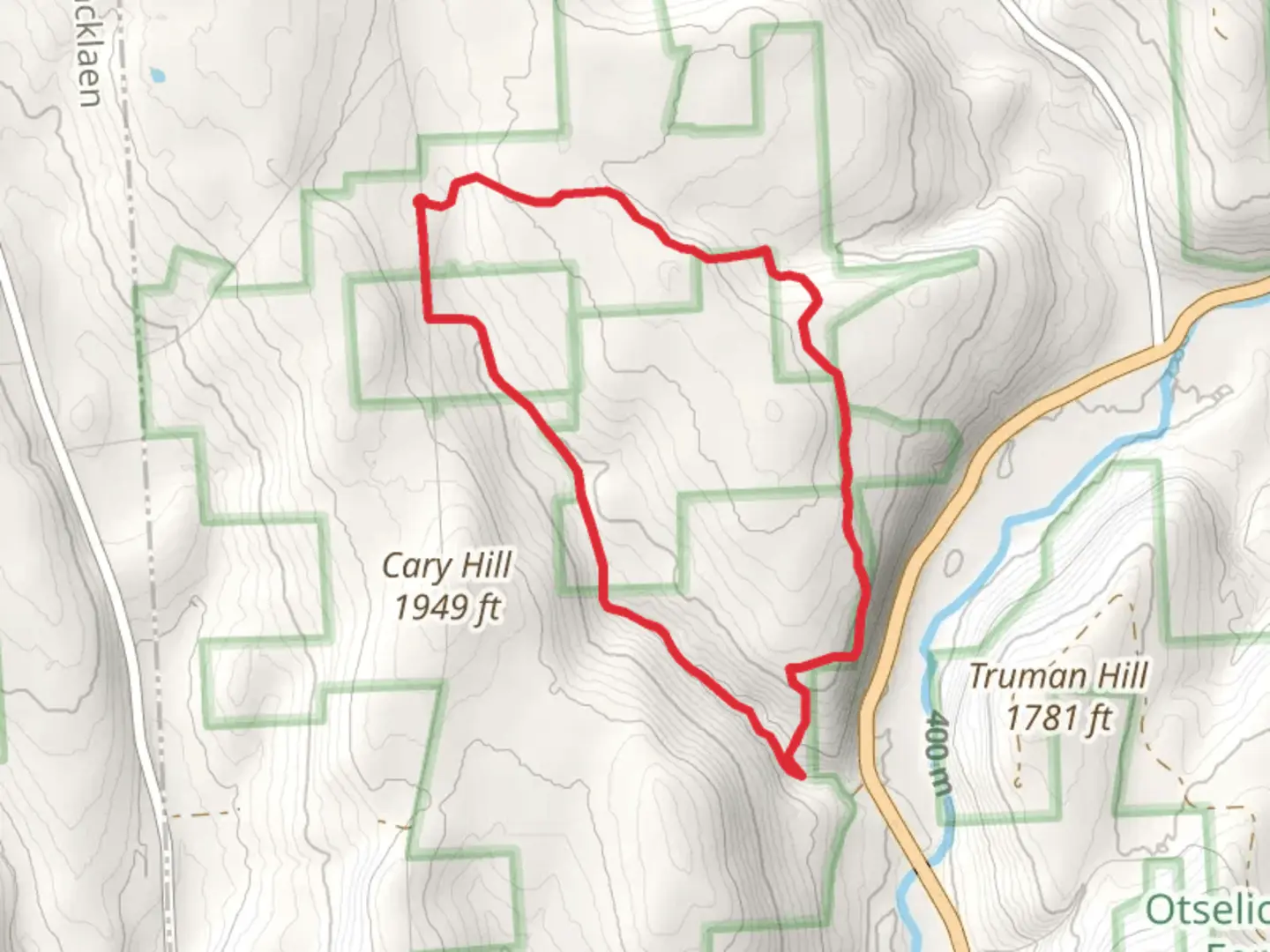 An image depicting the trail Bucks Brook Loop Trail - Ridge Road and its surrounding area.
