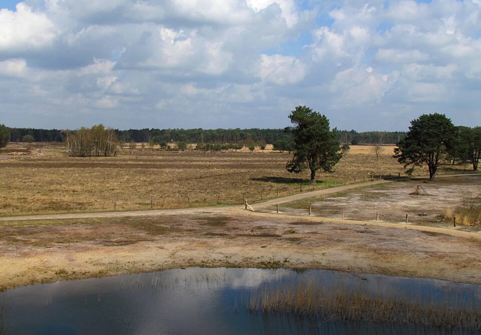 An image depicting the trail Calluna Route and its surrounding area.