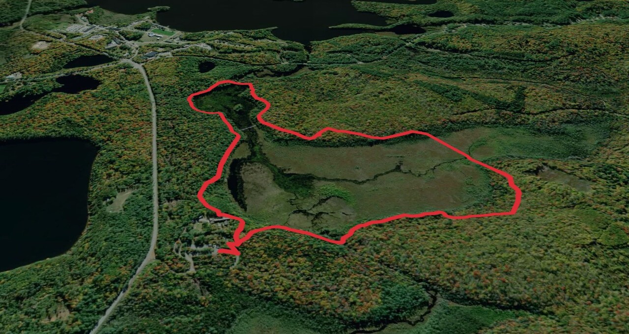 Barnum Brook Trail and Heron Marsh Trail Loop