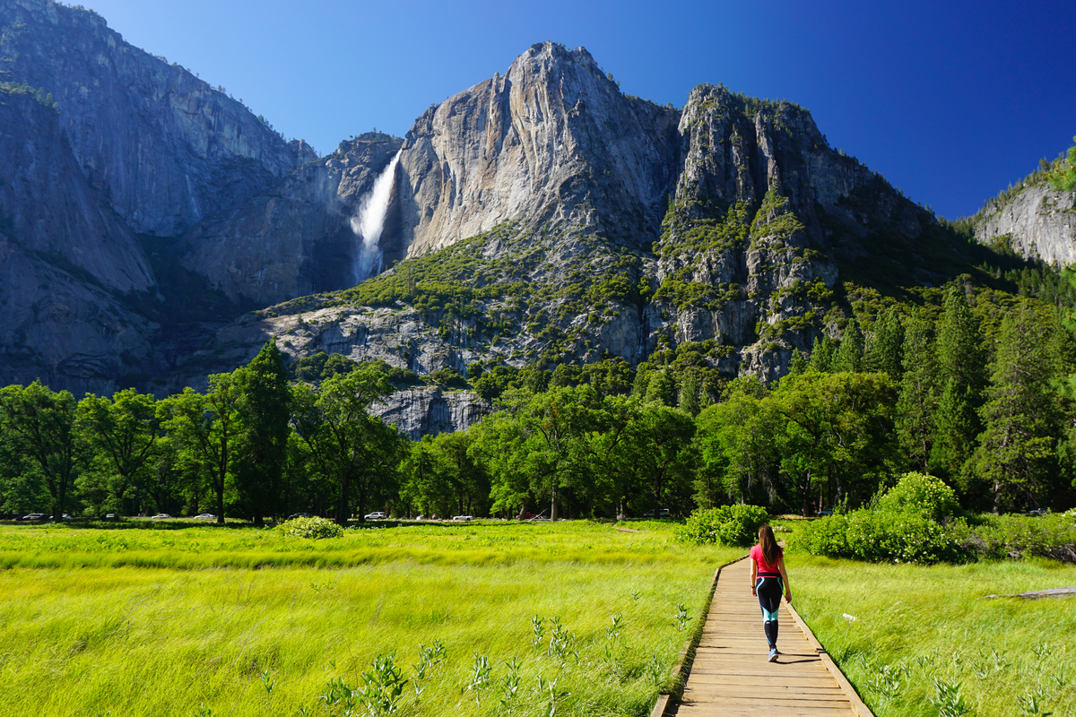 Cook's Meadow and Lower Yosemite Fall Loop Trail