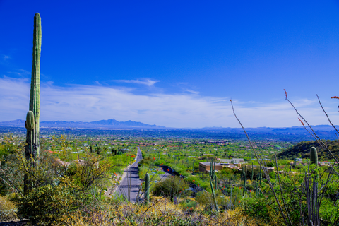 An image depicting the trail Pontatoc Canyon Trail and its surrounding area.