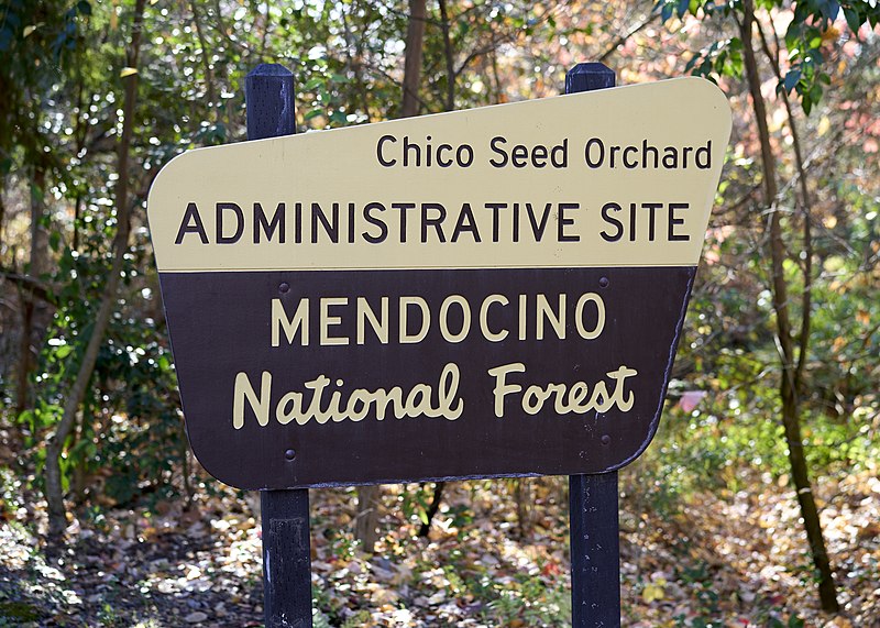 An image depicting the trail Mendocino National Forest and its surrounding area.