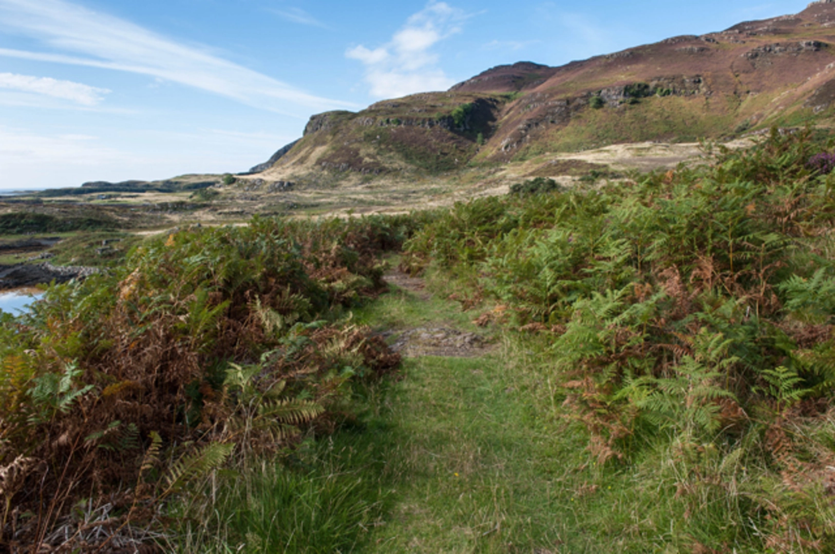 An image depicting the trail Ulva Loop via Woodland Walk and its surrounding area.