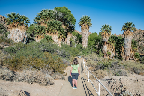 An image depicting the trail Pinkham Canyon Road Trail and its surrounding area.