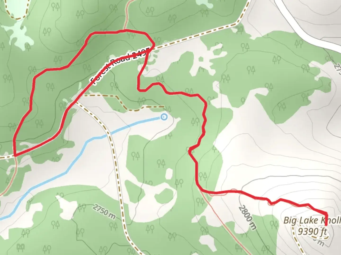 An image depicting the trail Big Lake Knoll and its surrounding area.