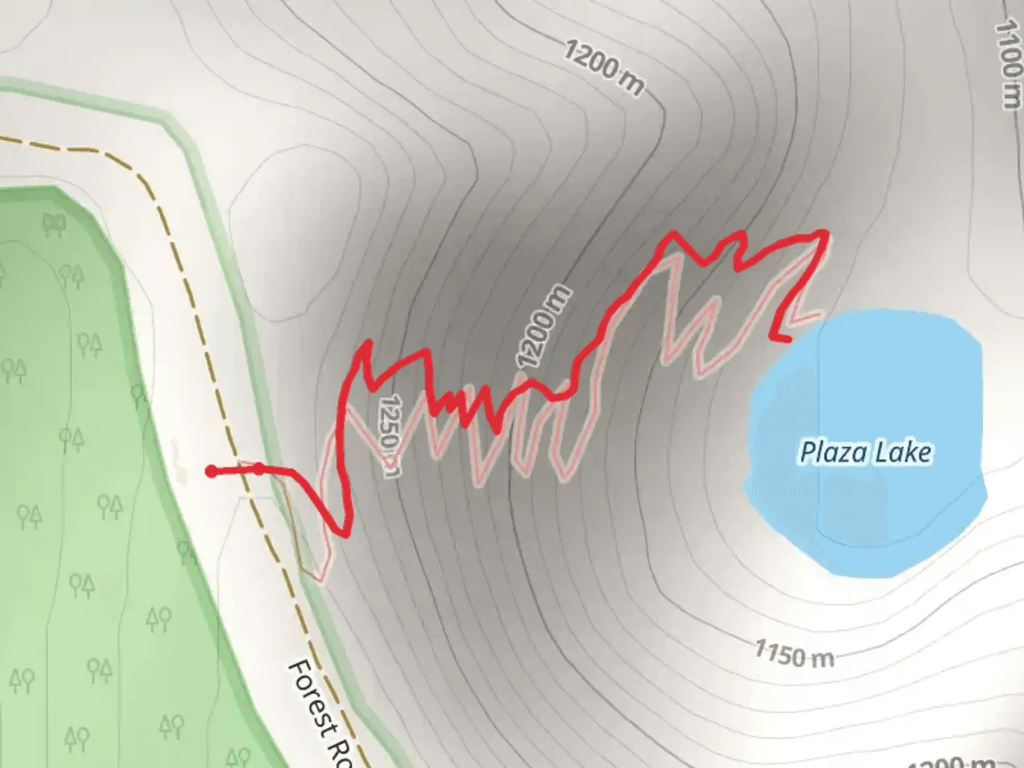 An image depicting the trail Plaza Lake Trail and its surrounding area.