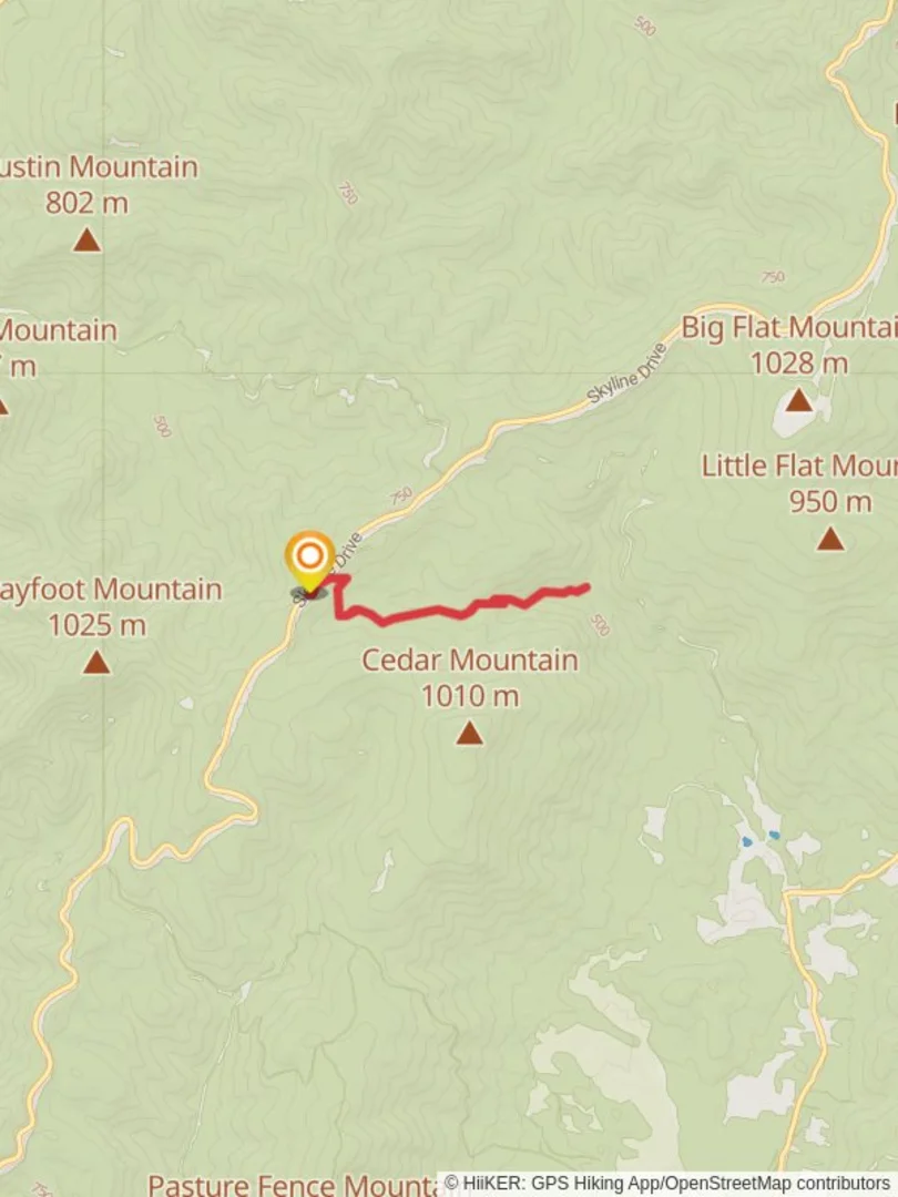 An image depicting the trail Jones Run Falls and Jones Run and its surrounding area.