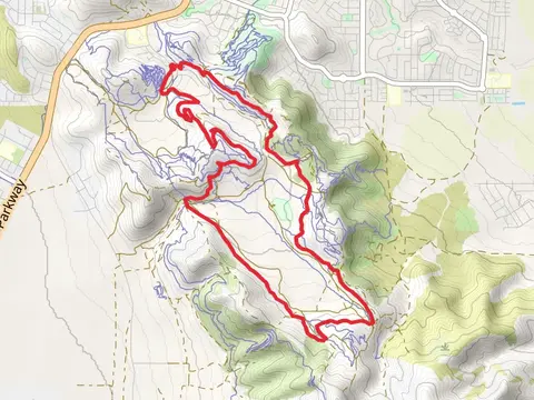 Rock a Billy and Supersonic Loop