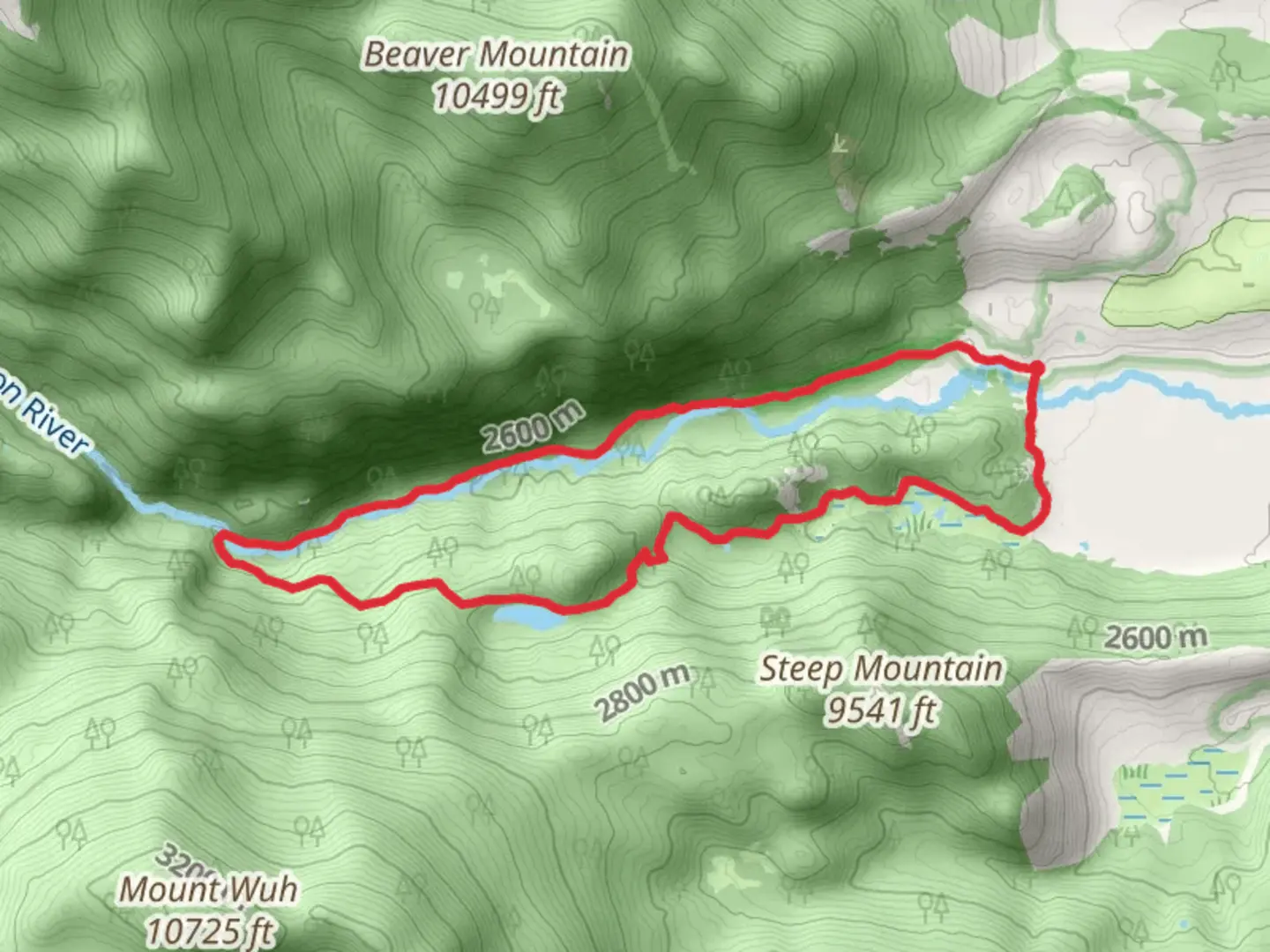 An image depicting the trail The Pool and Cub Lake Loop Trail and its surrounding area.