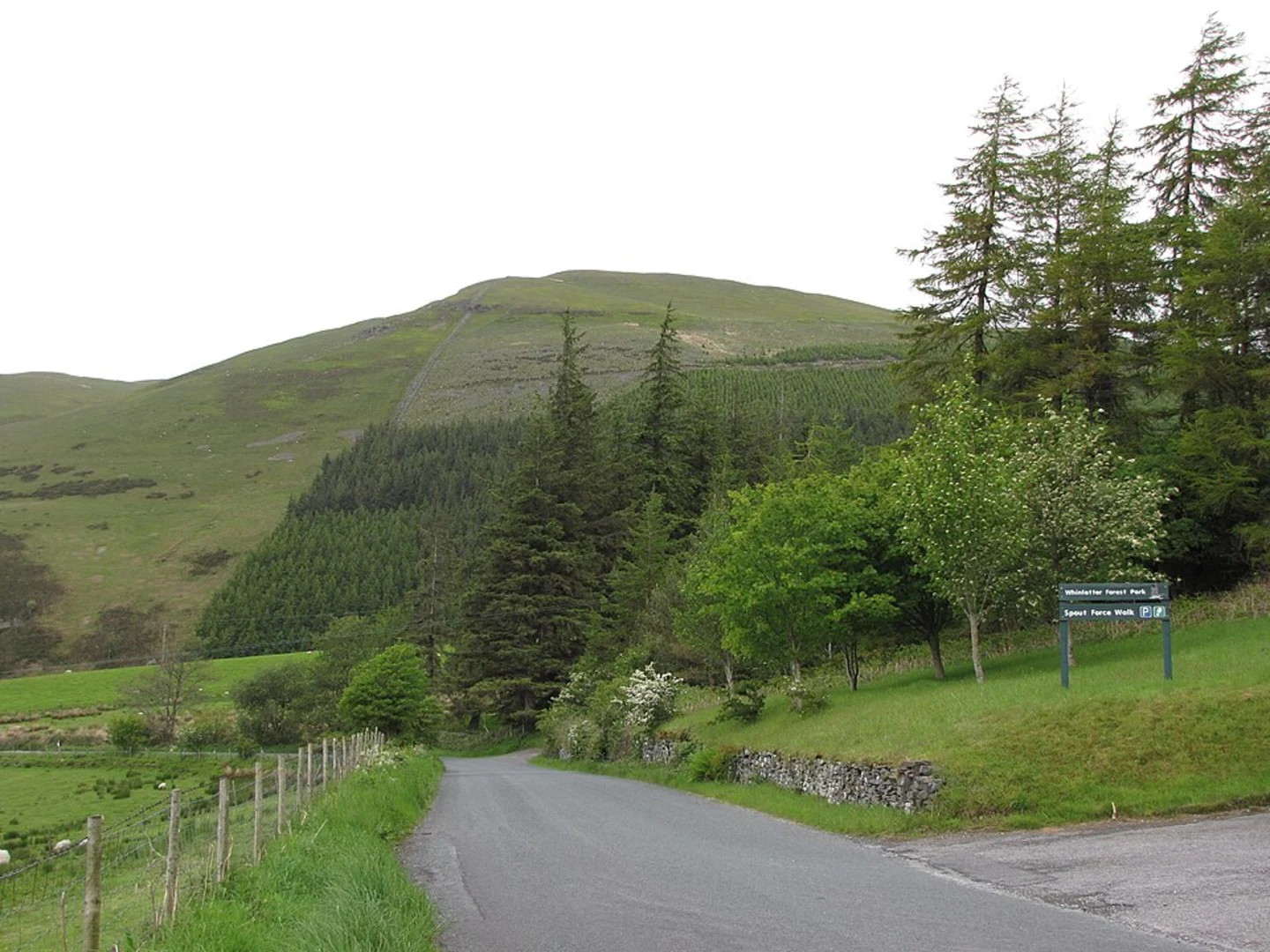 An image depicting the trail Barf, Lord's Seat, Graystones Peak and Spout Force Loop - Thornthwaite and its surrounding area.