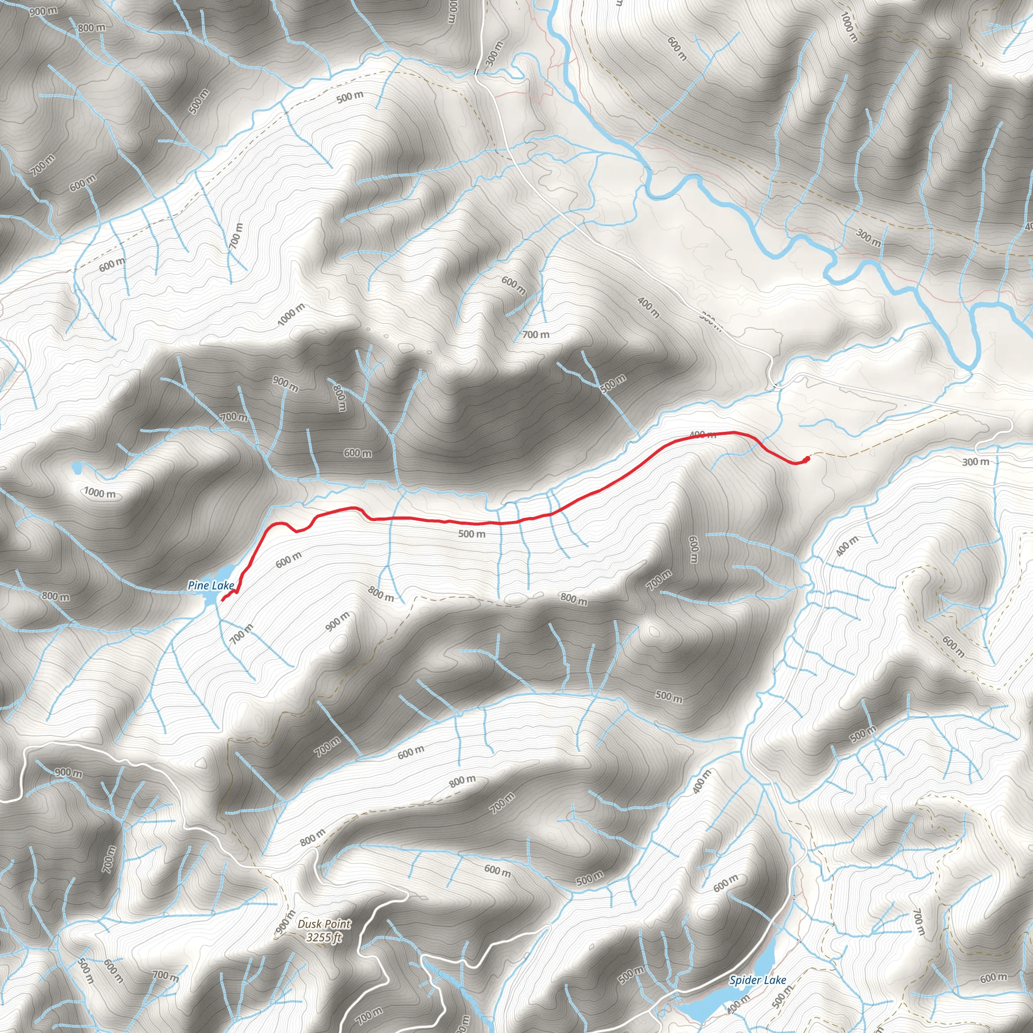 Pine Lake Trail mobile static map