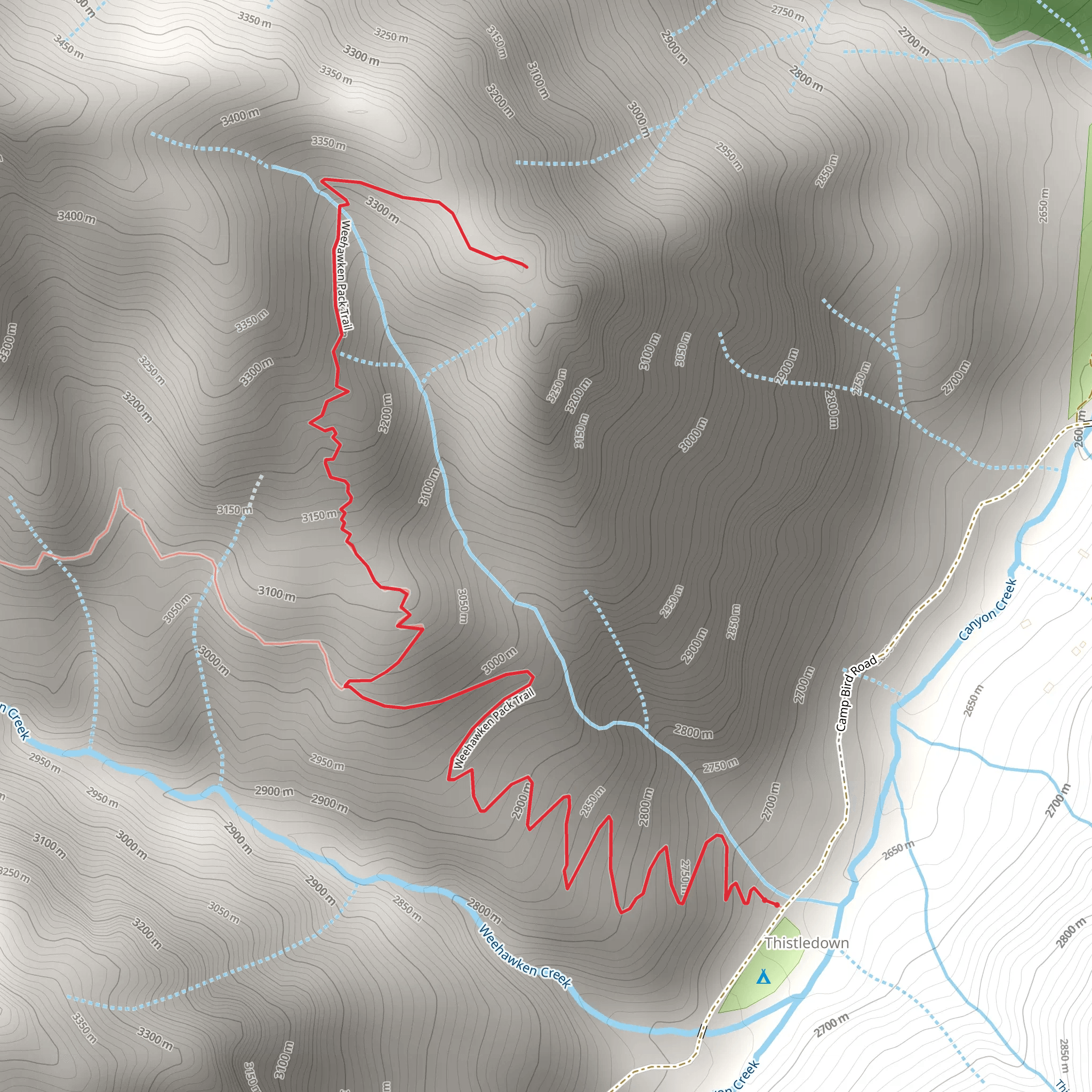 Camp Bird Road mobile static map