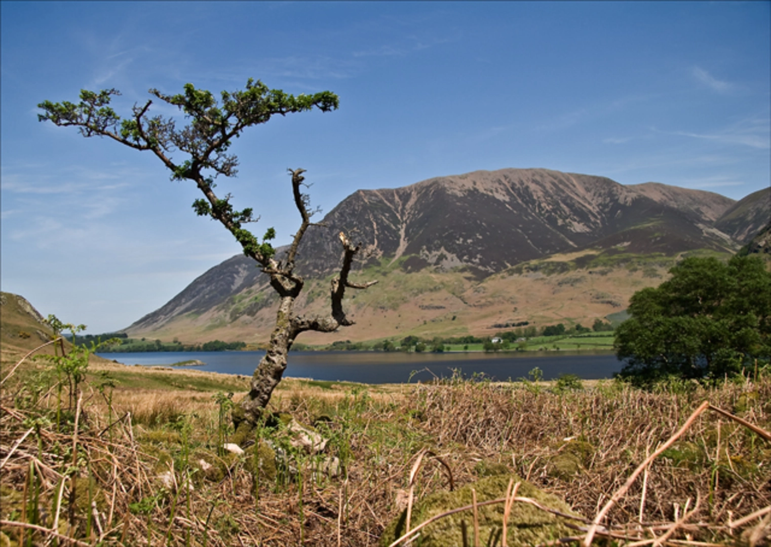 An image depicting the trail Crummock Water and Scale Force Loop and its surrounding area.