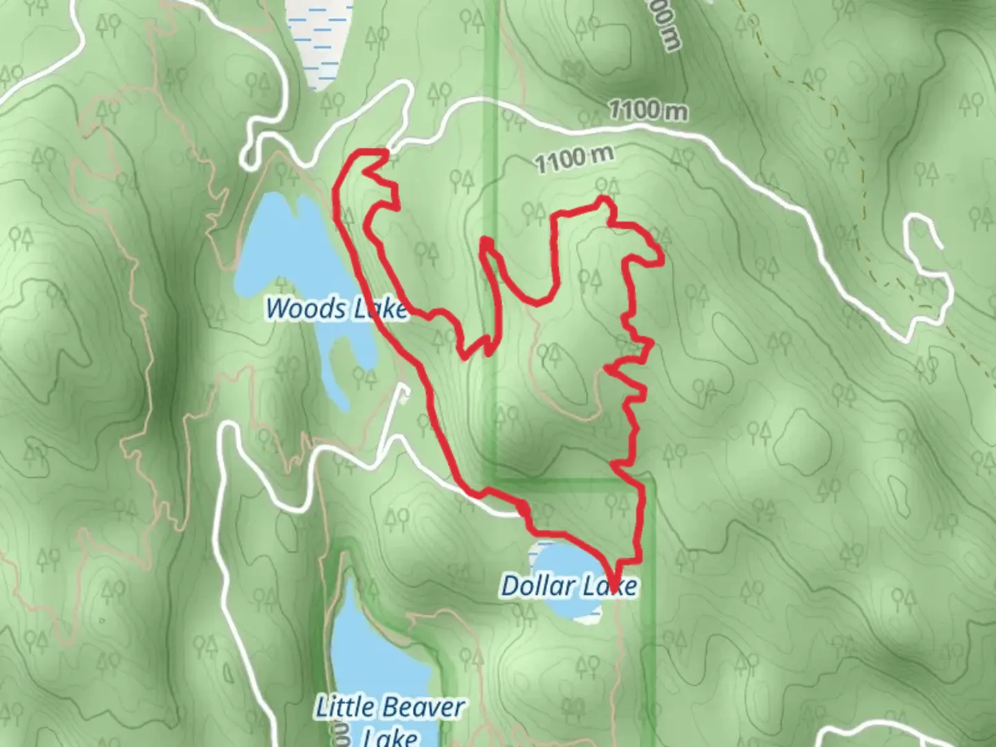 An image depicting the trail Dollar Lake and Whitefish Trail - Woods Lake Loop and its surrounding area.