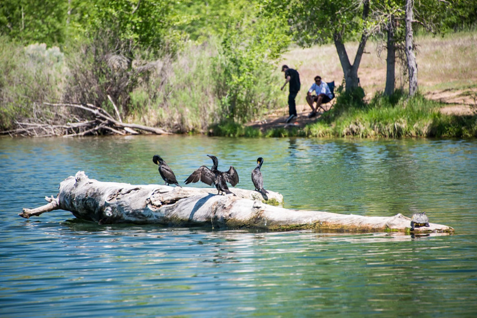 An image depicting the trail Platte River - Mary Carter Greenway Trail and its surrounding area.