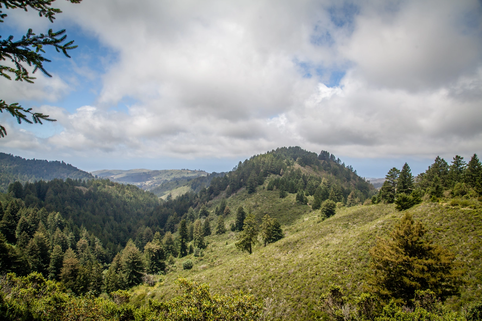 An image depicting the trail Purisima Creek, Craig Britton and Whittemore Gulch Loop Trail and its surrounding area.