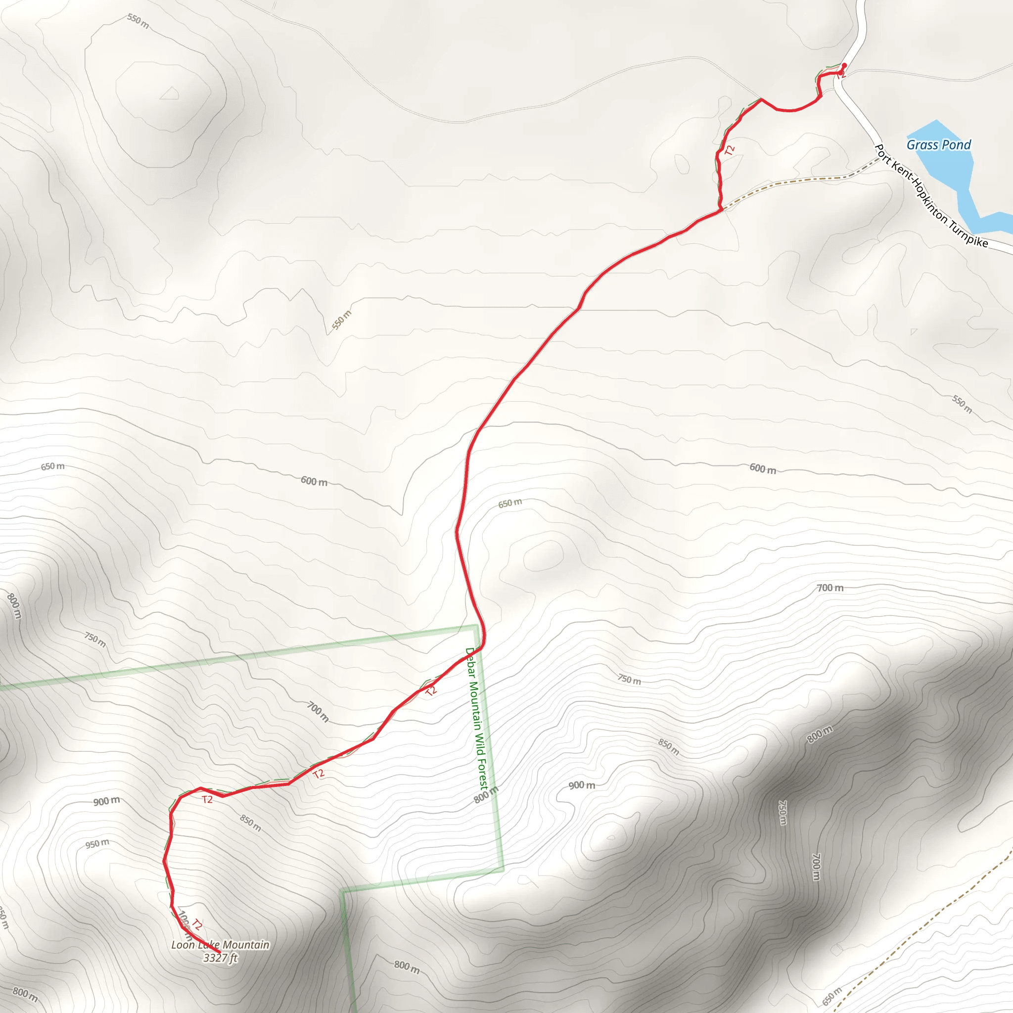 Loon Lake Mountain Trail mobile static map