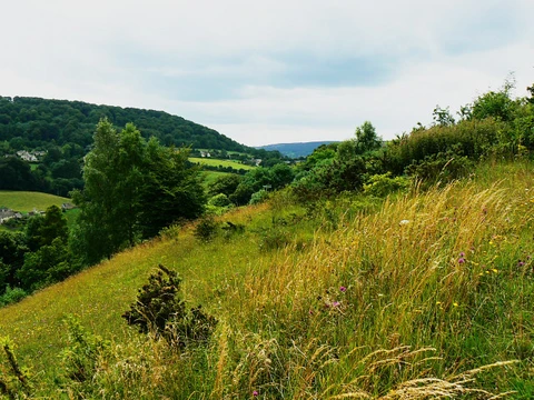 An image depicting the trail Cranham via Sheepscombe Circular and its surrounding area.