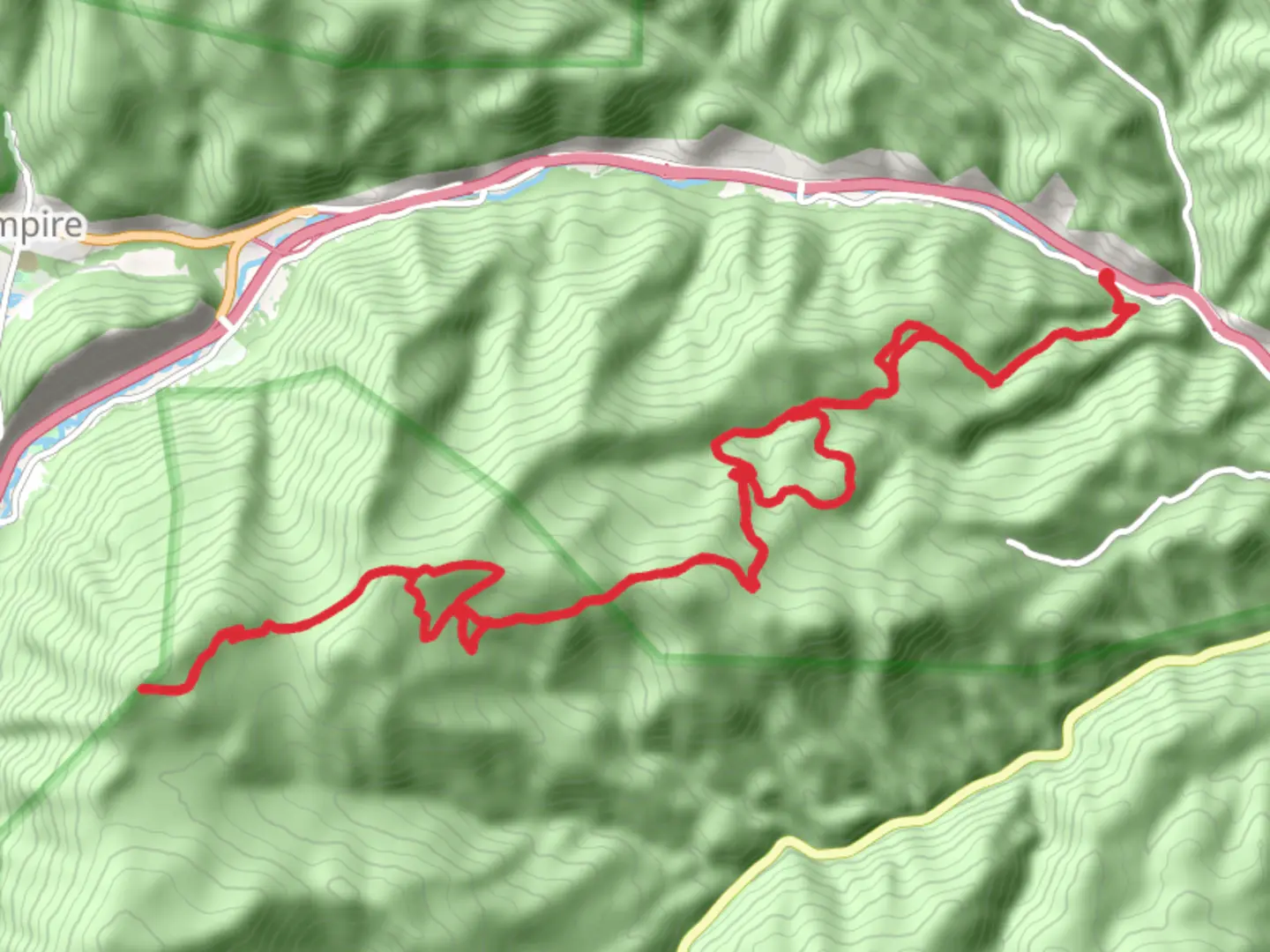 An image depicting the trail Saxon Mountain via Turkey Gulch Road and its surrounding area.