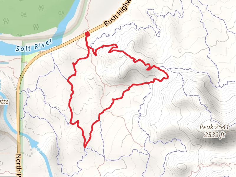 Granite Trail, Saguaro Trail and Ridge Trail