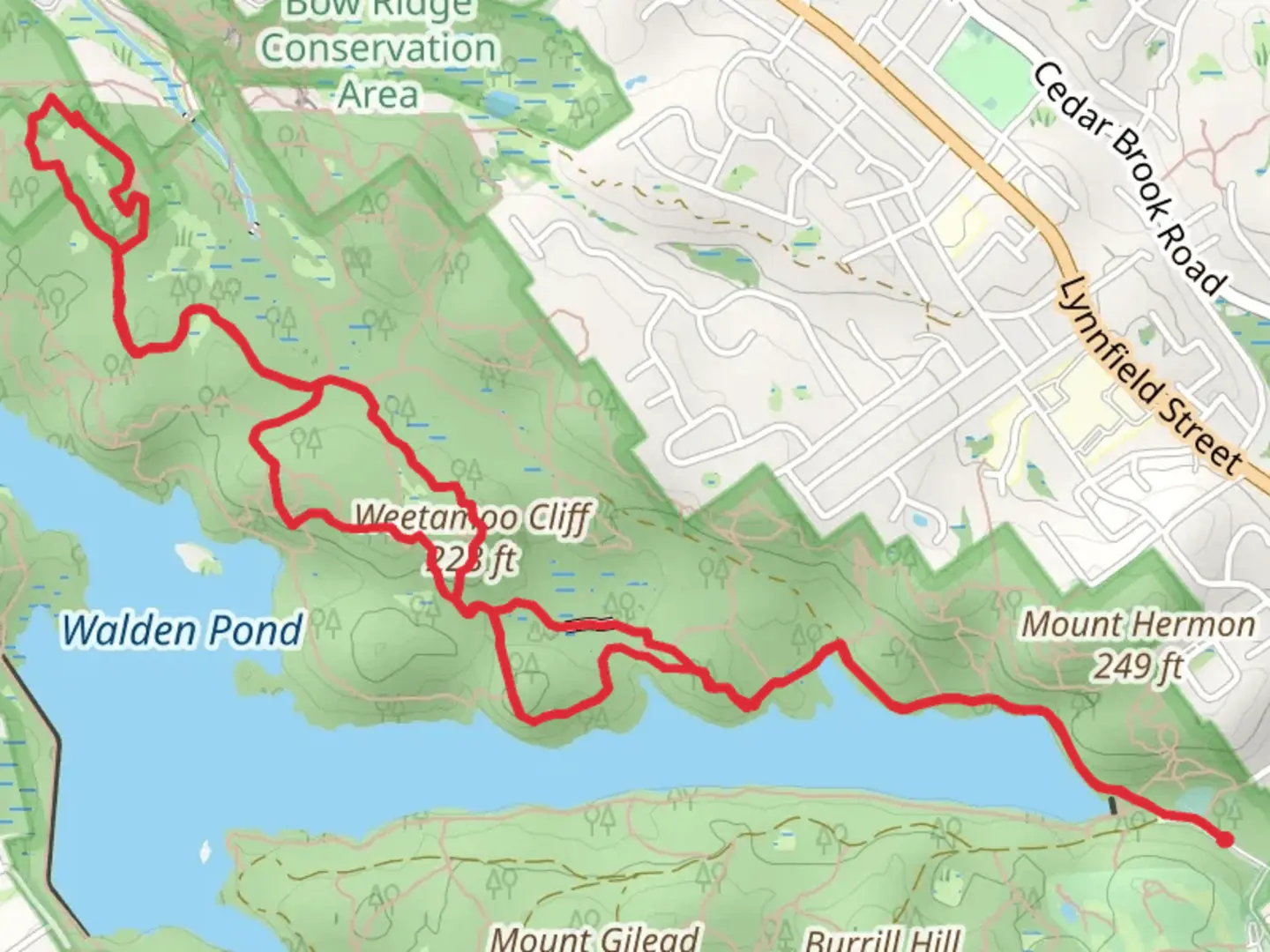 An image depicting the trail Mount Hermon - Weetamoo Cliff Loop and its surrounding area.