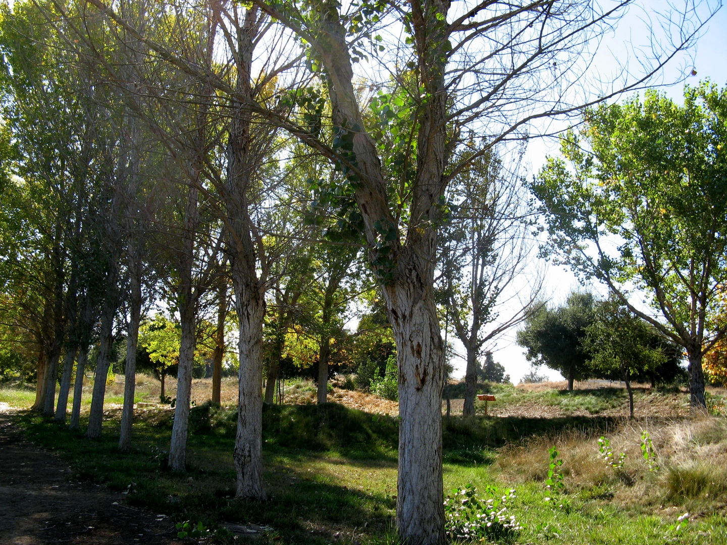 An image depicting the trail Guadalupe River and Levee Regional Trail and its surrounding area.