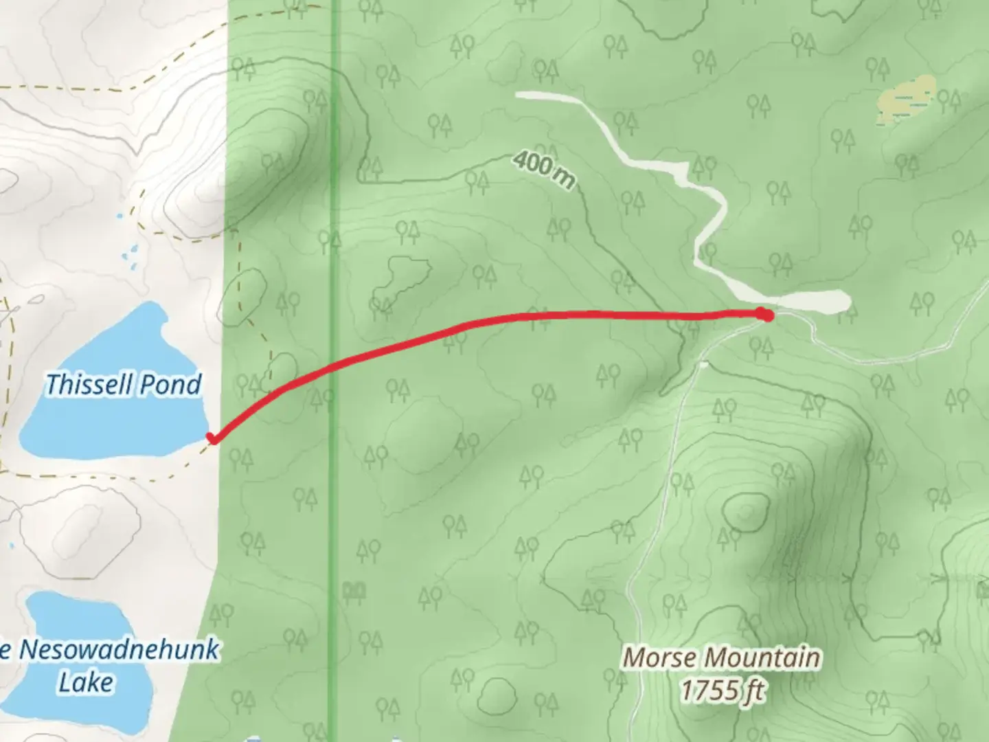 An image depicting the trail Thissell Pond Trail and its surrounding area.