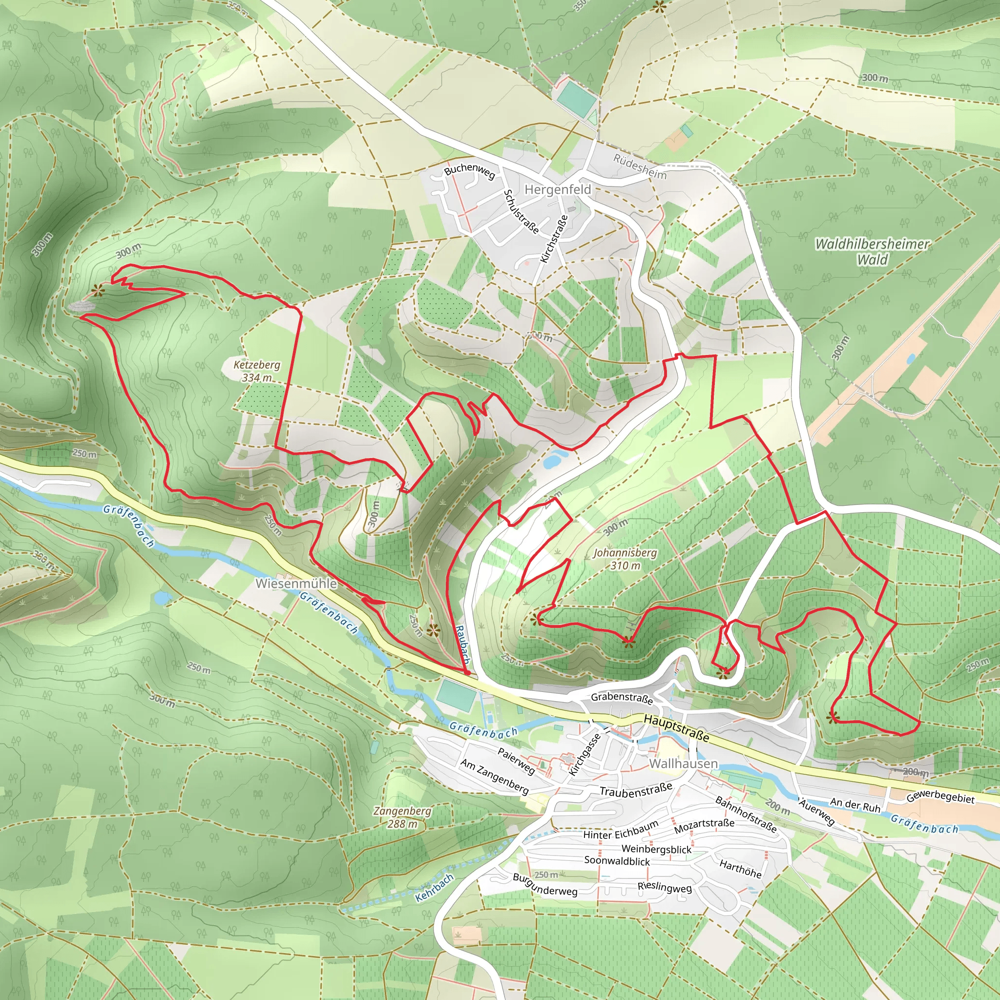 Vital Tour - Stein, Wein and Farbe Loop mobile static map