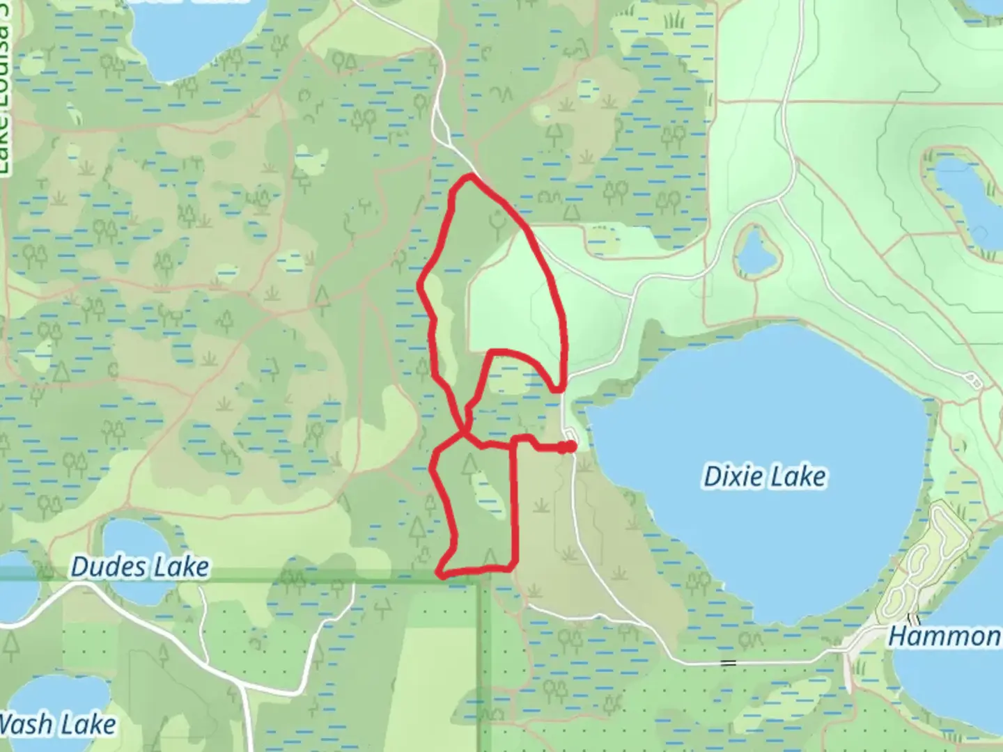 An image depicting the trail Pine Point Primative Campsite Loop and its surrounding area.