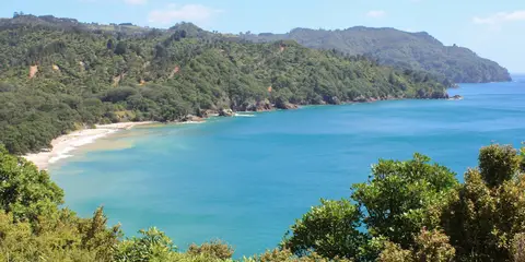 An image depicting the trail Orokawa Bay Track and its surrounding area.