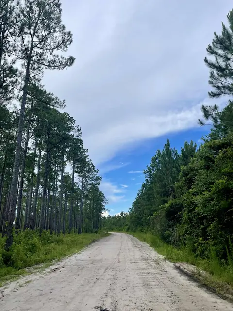 Walk beside Cane Bay