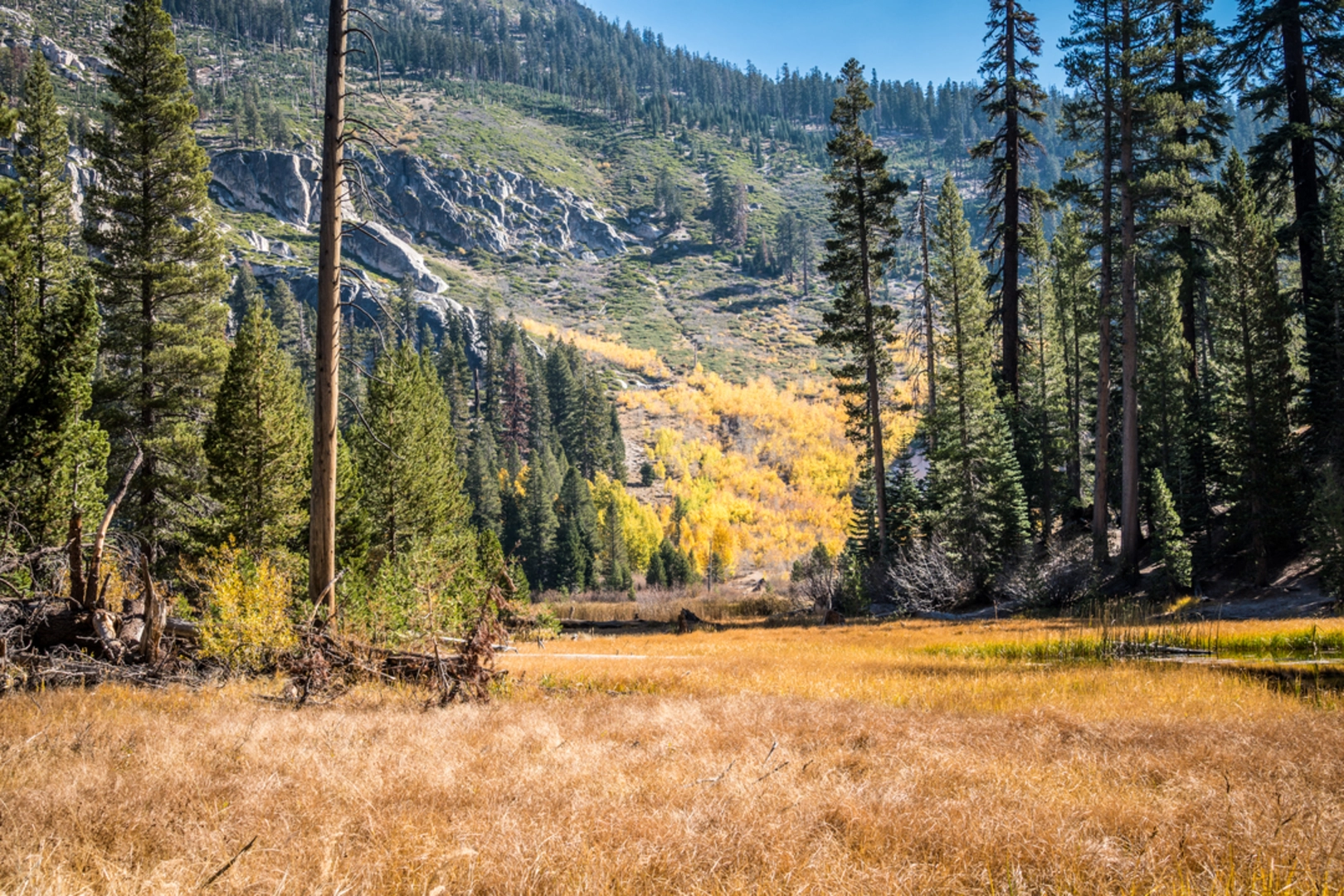 An image depicting the trail Sotcher Lake - Mammoth Pass Trail and its surrounding area.