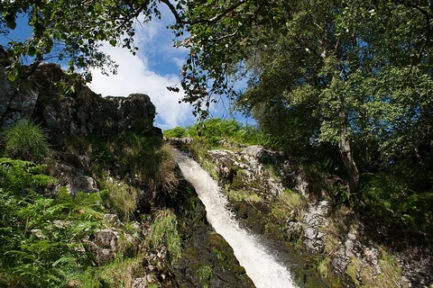 An image depicting the trail Linhope Spout Waterfall Walk and its surrounding area.