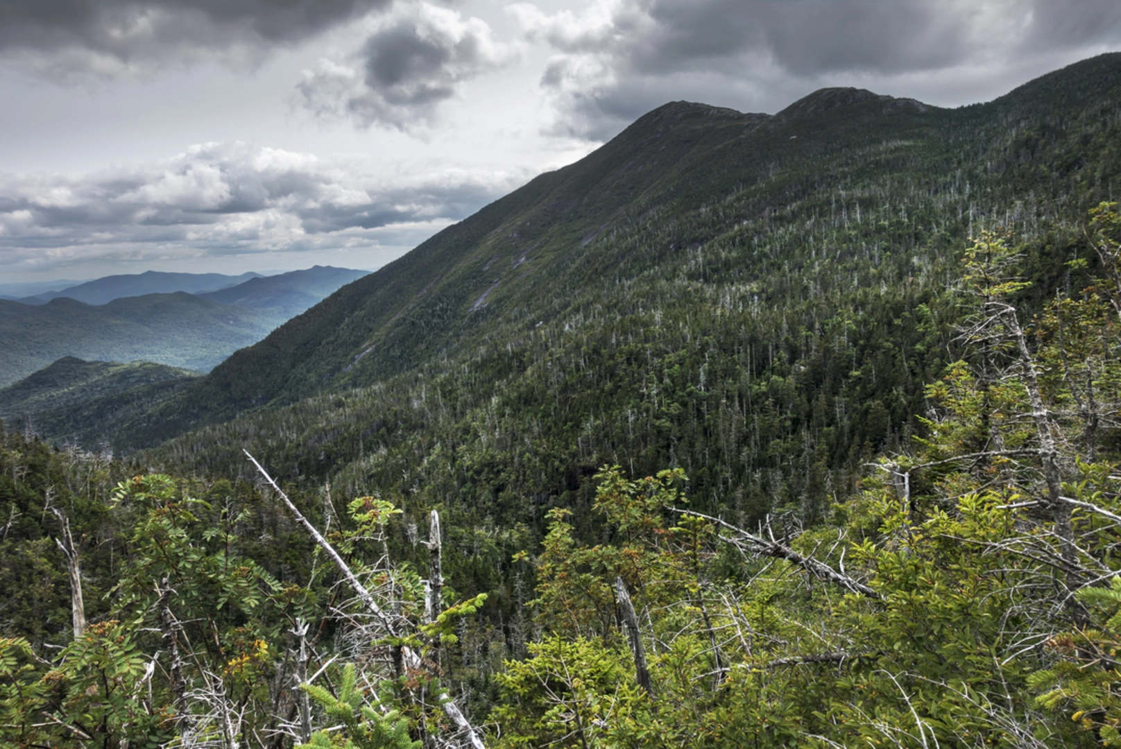 An image depicting the trail Haystack Mountain Trail from Whiteface and its surrounding area.