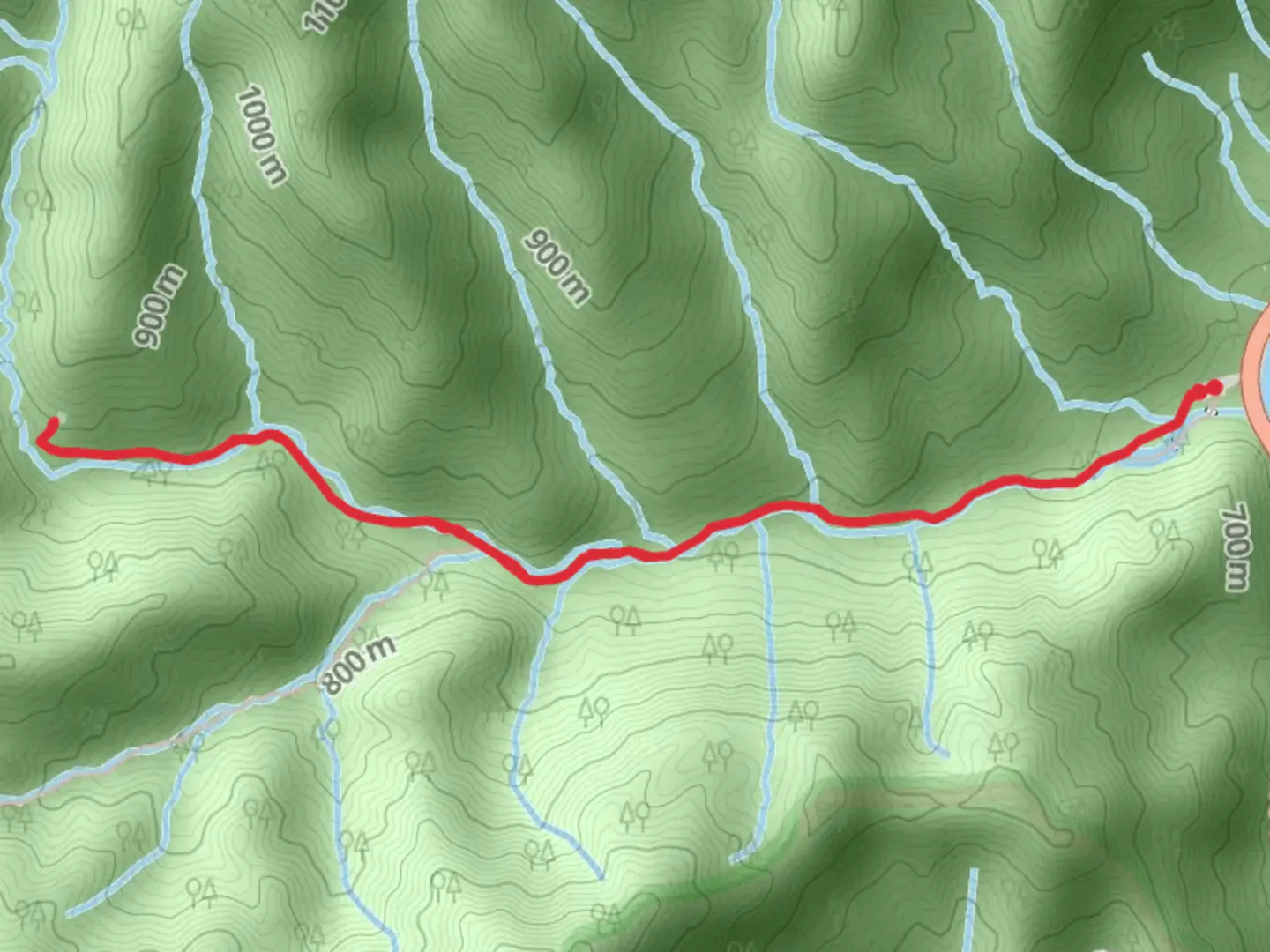 An image depicting the trail Mingus Creek Cemetery via Mingus Creek Trail and its surrounding area.
