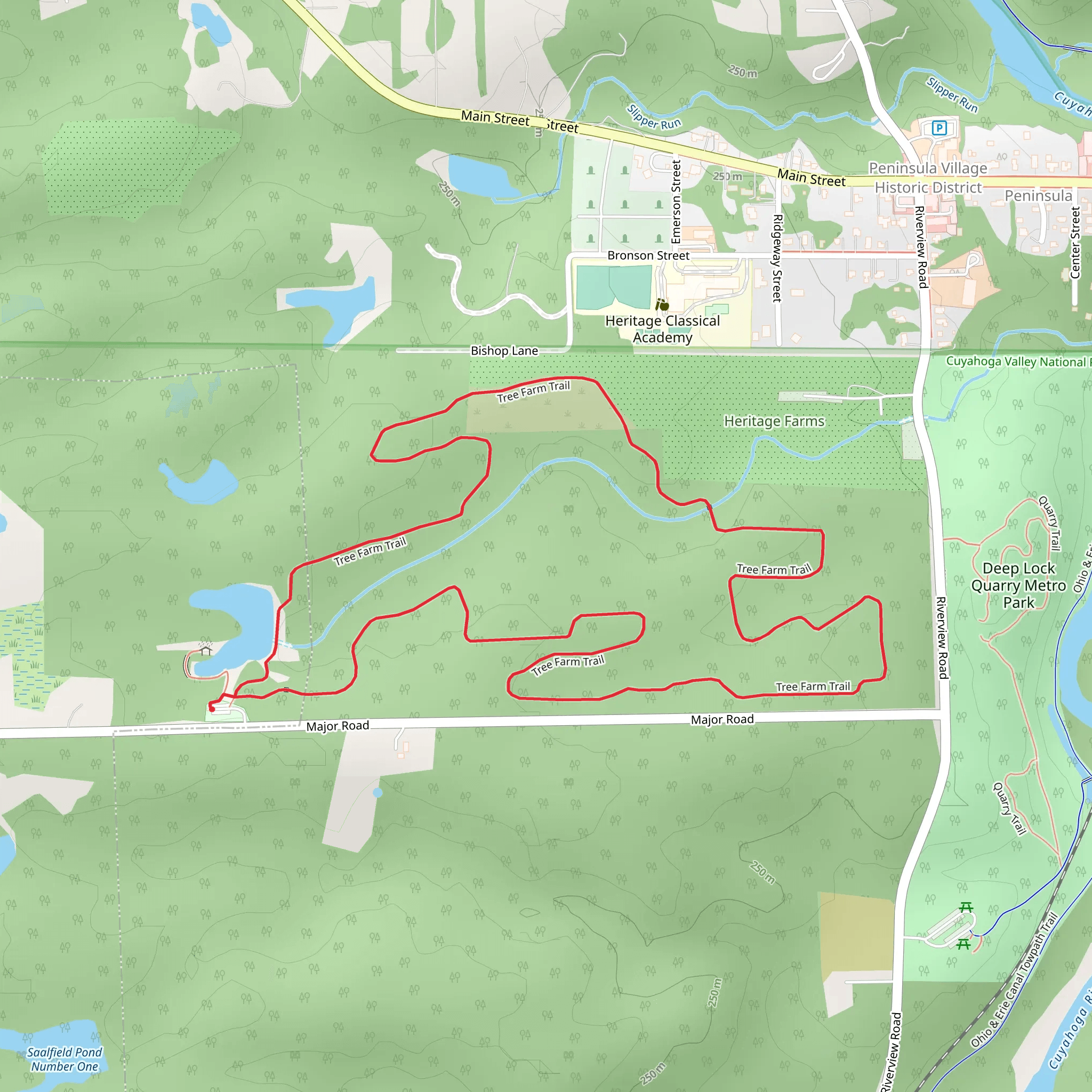 Tree Farm Loop Trail mobile static map
