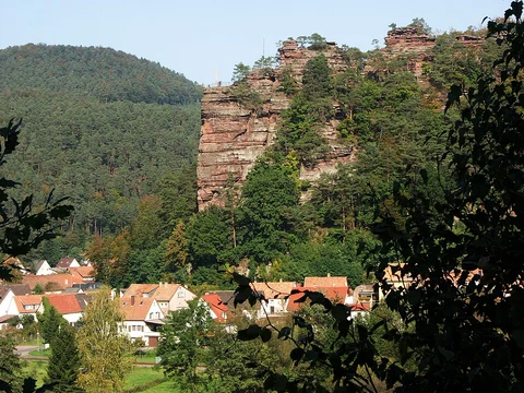 An image depicting the trail Grosser Humberg via Pfaelzer Waldpfad and its surrounding area.