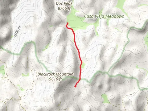 Casa Vieja Trail