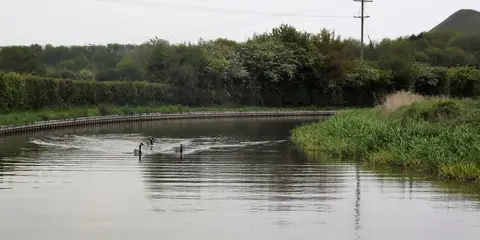 An image depicting the trail Coventry Canal Walk and its surrounding area.