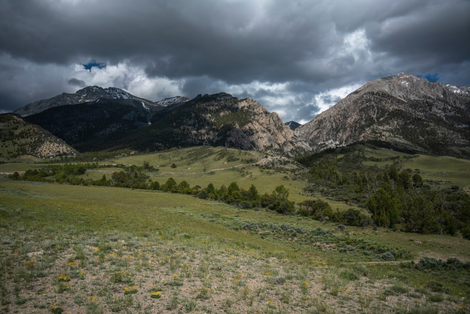 An image depicting the trail Borah Peak Trail and its surrounding area.