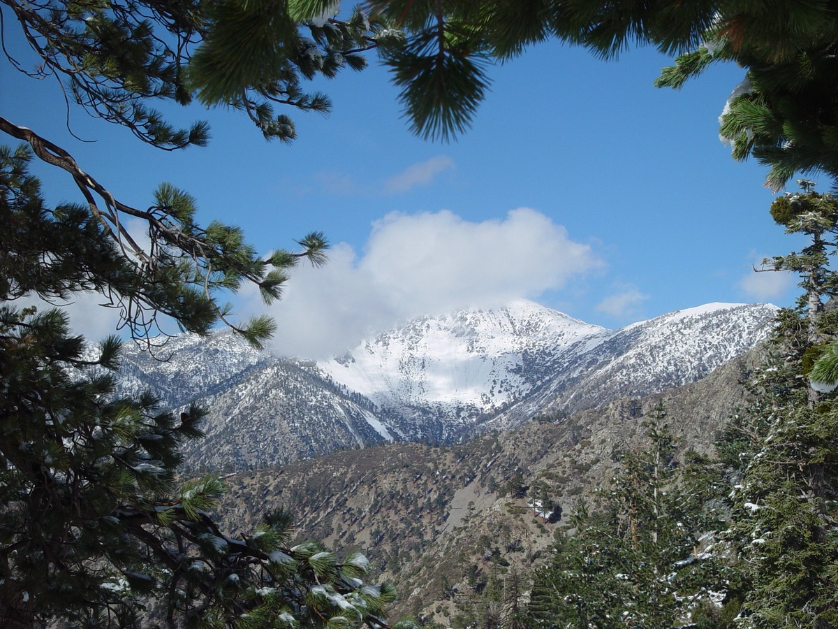 Icehouse Canyon, Icehouse Saddle and Chapman Loop Trail