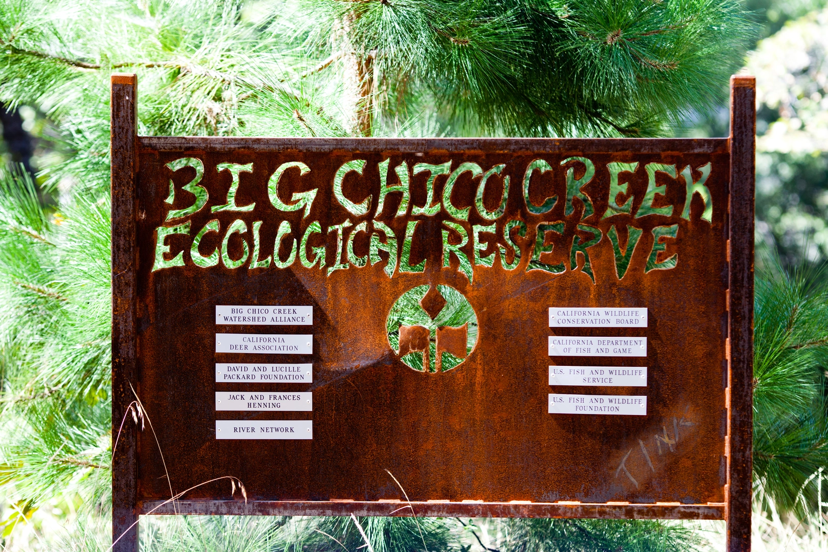 An image depicting the trail Big Chico Creek and its surrounding area.