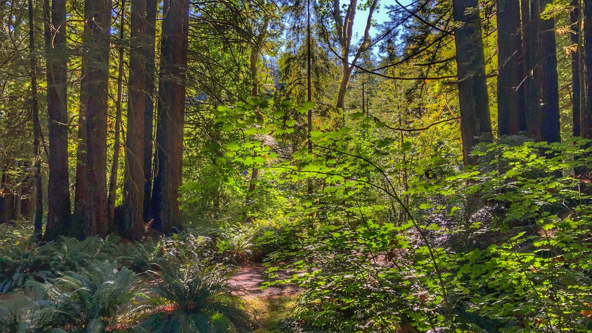An image depicting the trail Hobbs Wall Trail and its surrounding area.