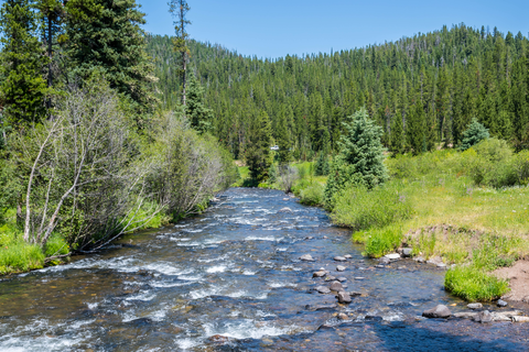 An image depicting the trail Palisade Falls Trail and its surrounding area.